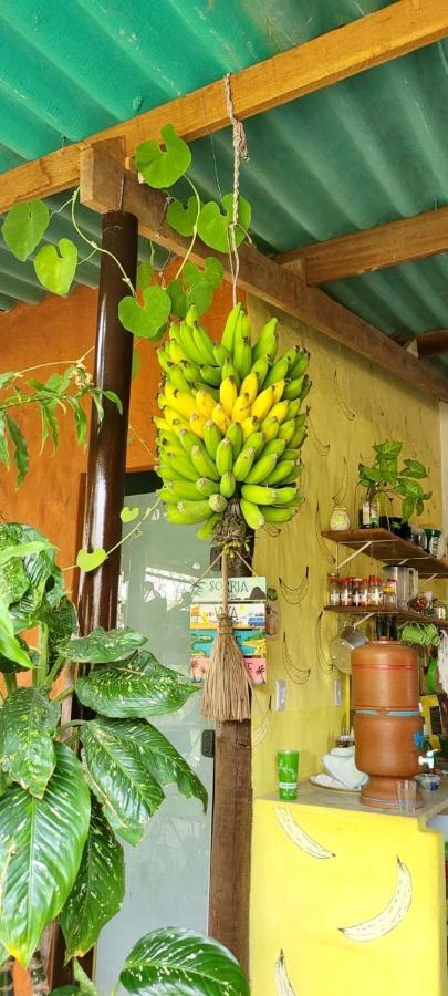 Tenda Da Lua Alto Paraíso de Goiás Eksteriør billede
