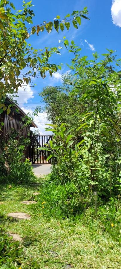 Tenda Da Lua Alto Paraíso de Goiás Eksteriør billede