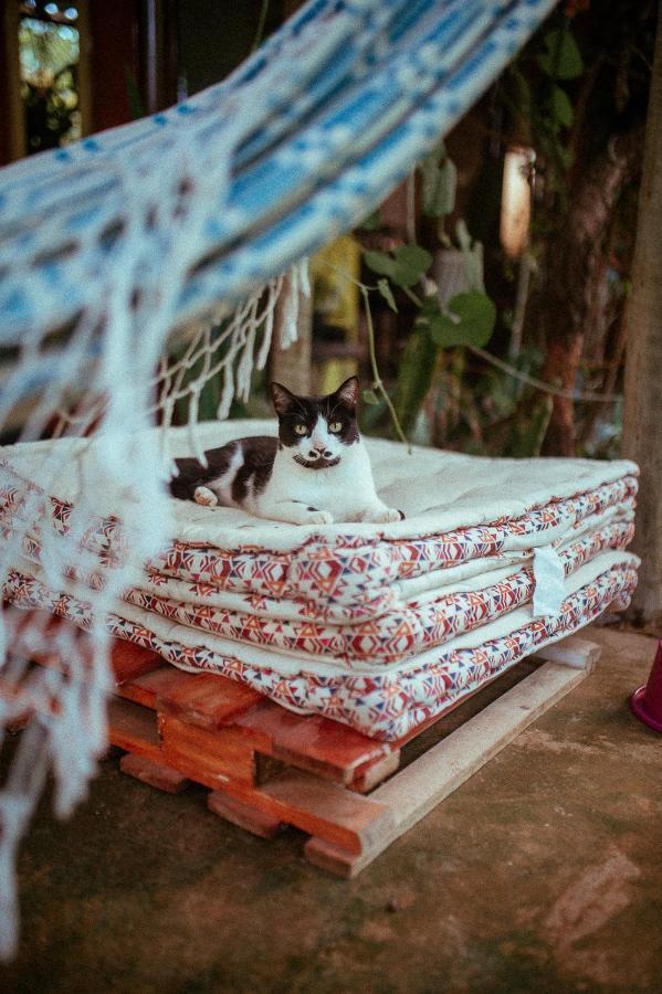 Tenda Da Lua Alto Paraíso de Goiás Eksteriør billede